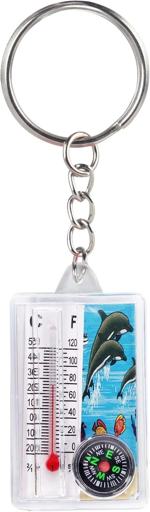 Dolphin Thermometer Compass Keychain