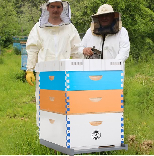 10 Frame Langstroth Bee Hive Coated Bee Painting Includes 30X Beehive Frames