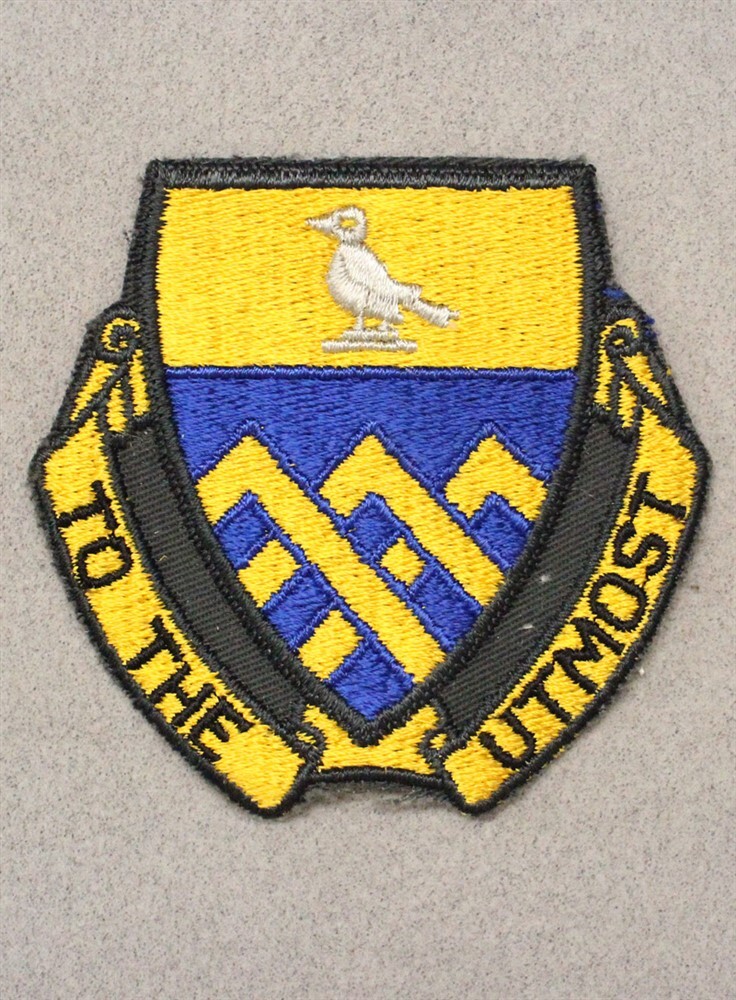 Army patch 6005: 101st Armored Cavalry Regiment