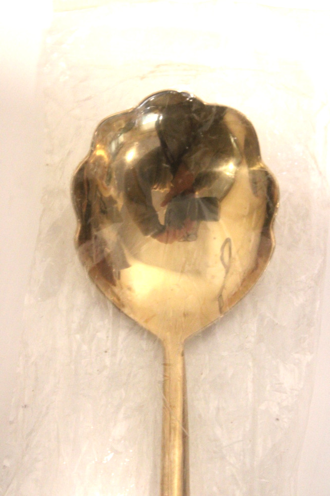 Izabel Lam Bronze STREAM Dinner Spoon