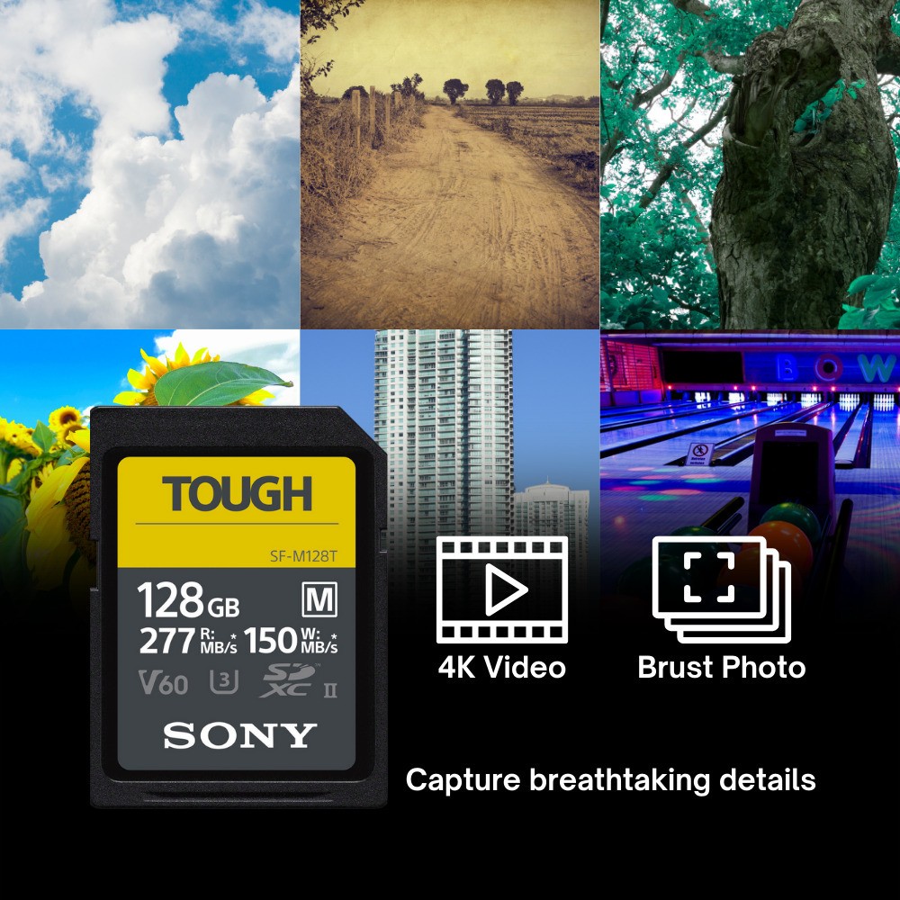 Sony 128GB SF M Series High Speed Tough SD Card 2 Pack Card Reader ELITE