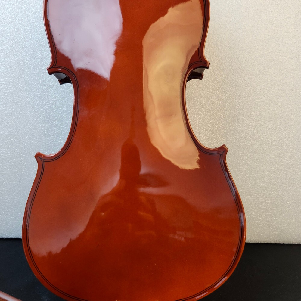Student Violin w/ Case Bow Rosin String Cheek Rest 4/4 Size