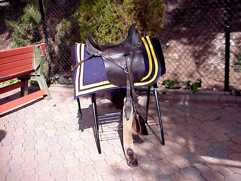 Original INDIAN WARS U.S. Cavalry Officer's SADDLE
