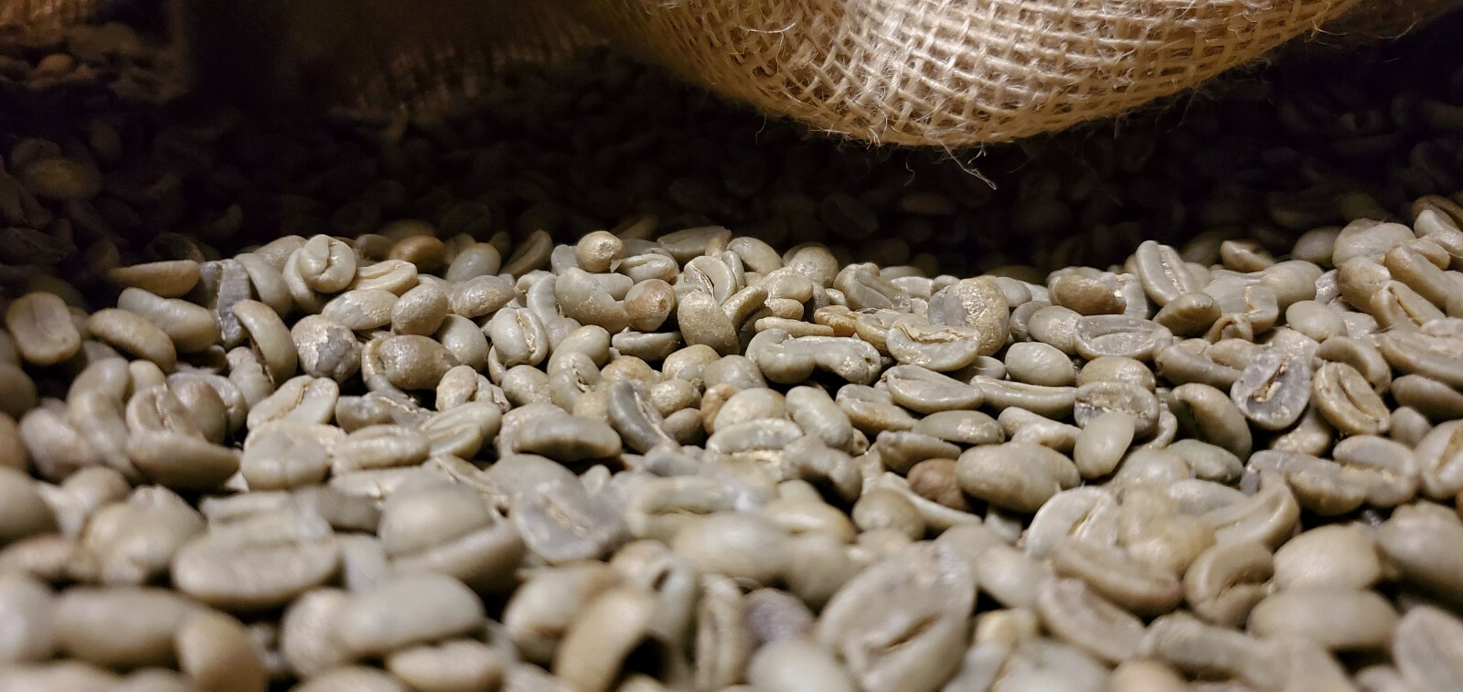 5 LBS PAPUA NEW GUINEA UNROASTED GREEN COFFEE BEANS - ARABICA