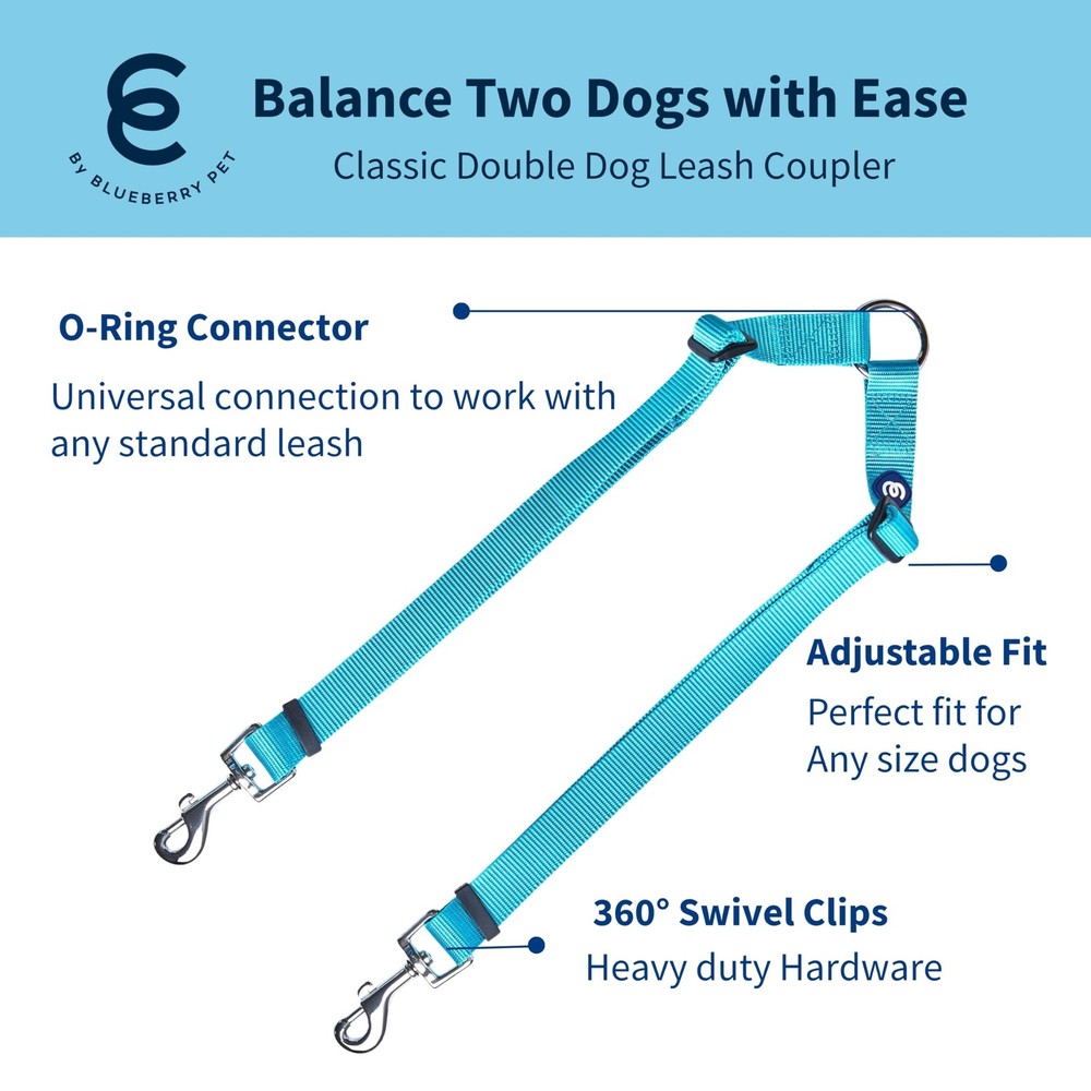 Essentials Durable Classic Double Dog Leash Coupler, Turquoise, Small, Dual W...