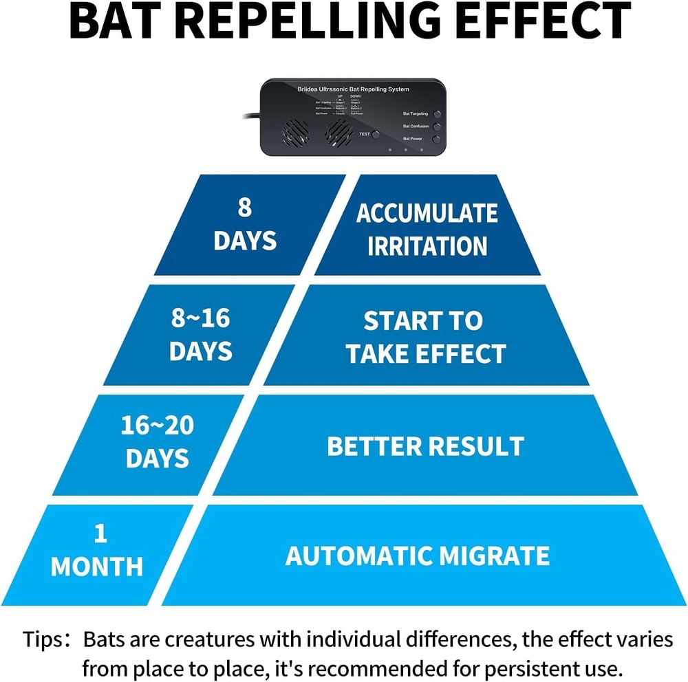 Ultrasonic Bat Removal System