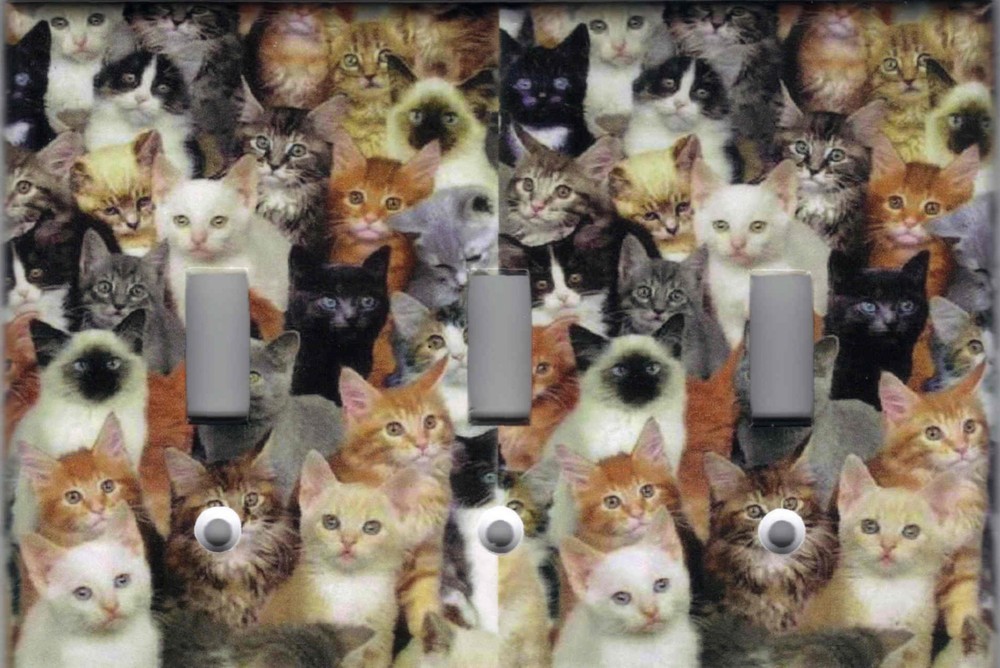 CATS, CATS, CATS HOME WALL DECOR LIGHT SWITCH PLATES AND OUTLETS