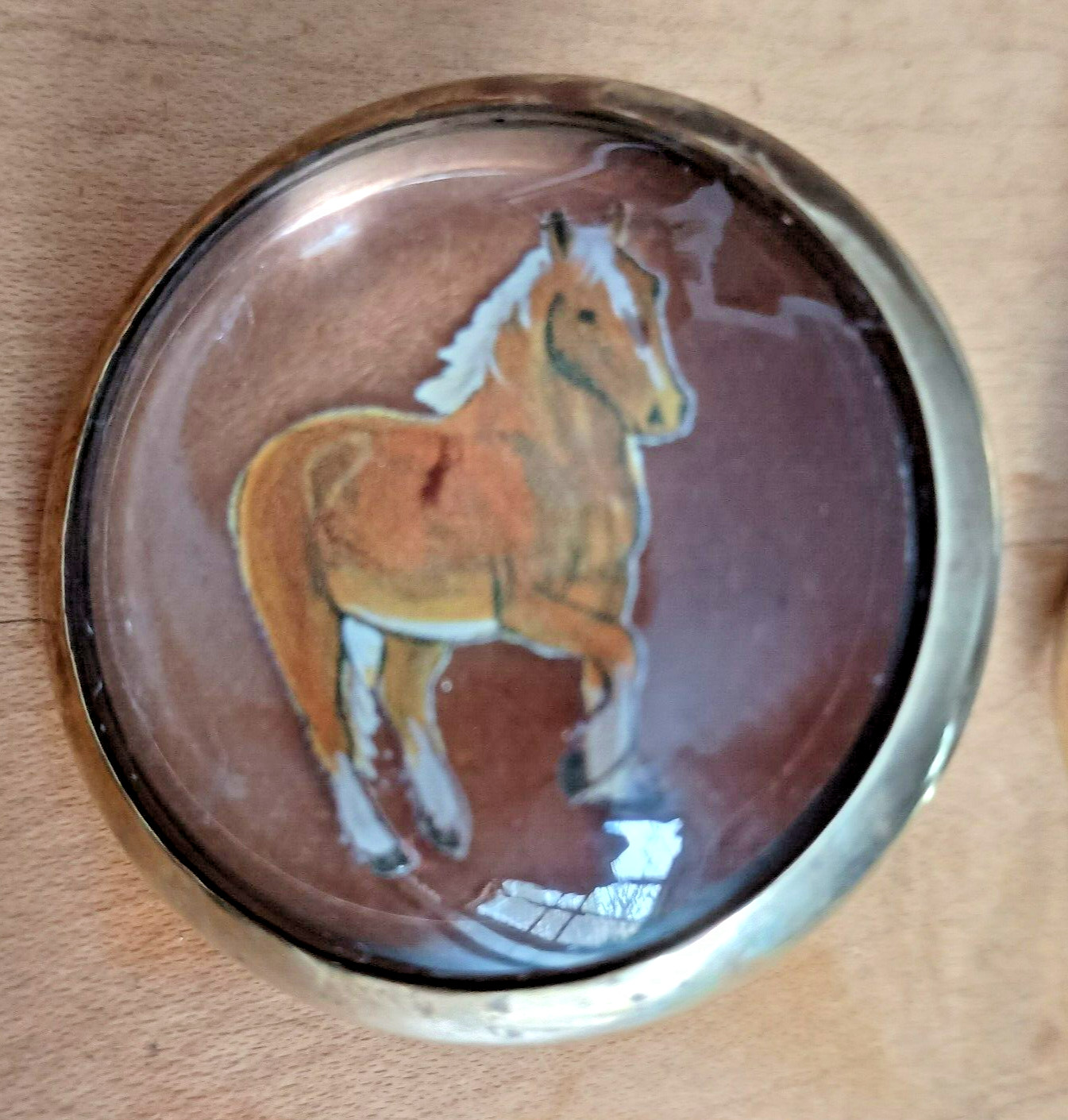 Bridle Loop Rosettes Haflinger for Headstall Harness Glass Dome and Brass