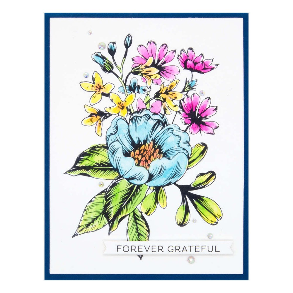 Spellbinders BetterPress Press Plate & Die Set - Always & Forever Sentiment Stri