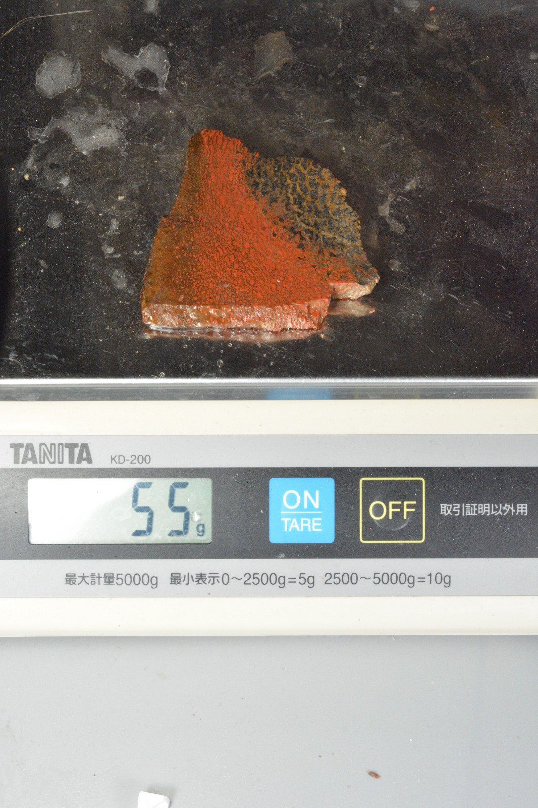 Orange Agatized Dinosaur Bone, New Mexico, 55 grams