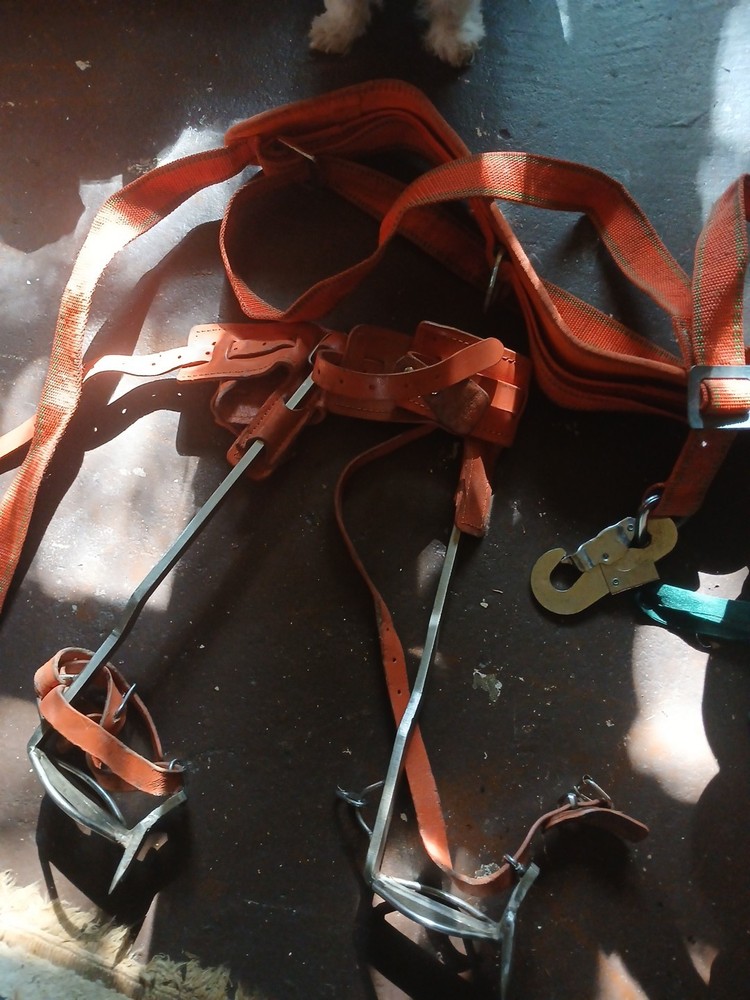 tree climbing gear used