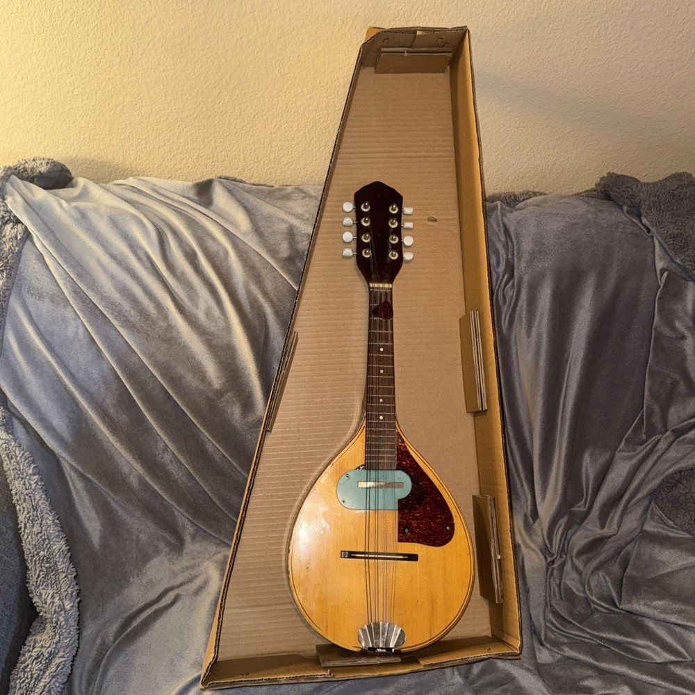 60’s70’s Norma Electric Mandolin