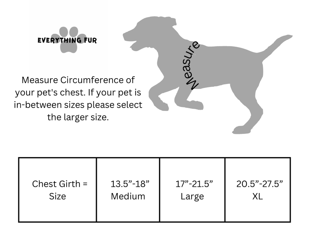 EverythingFur no pull dog harness with leash