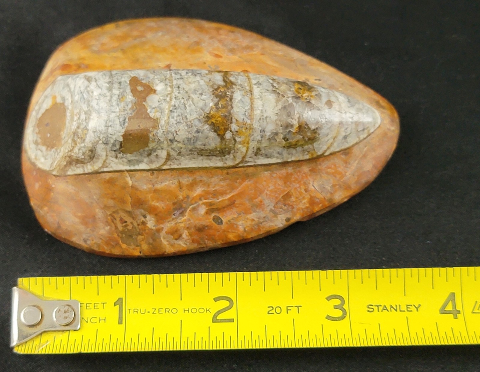 Vintage Ancient Orthoceras Squid Shell Fossil Morocco Approx 3.5" & 4.5" Lot of