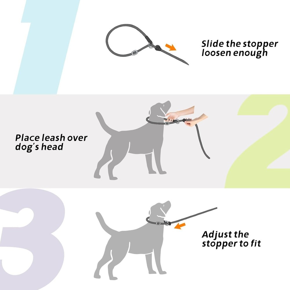 5 FT Reflective Slip Lead Dog Leash - Heavy Duty, Easy Training Solution