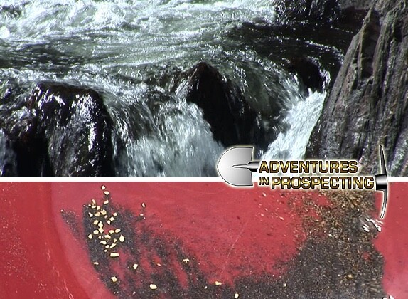 Roaring Camp Gold Prospector's Paradise DVD