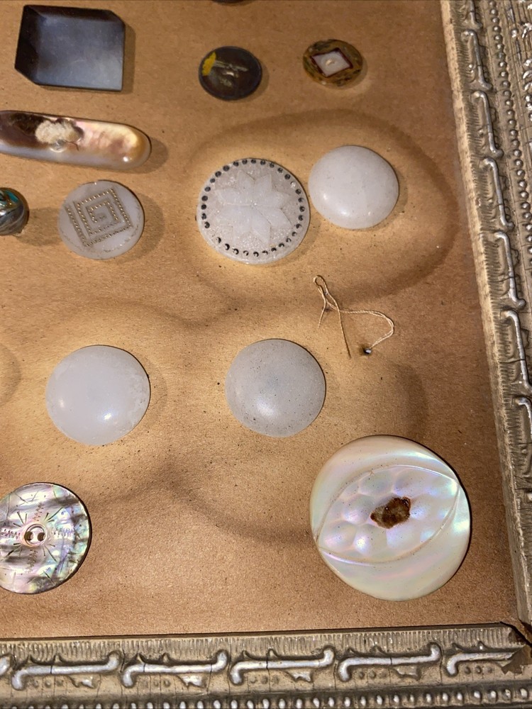 Antique Button Display Lot Victorian
