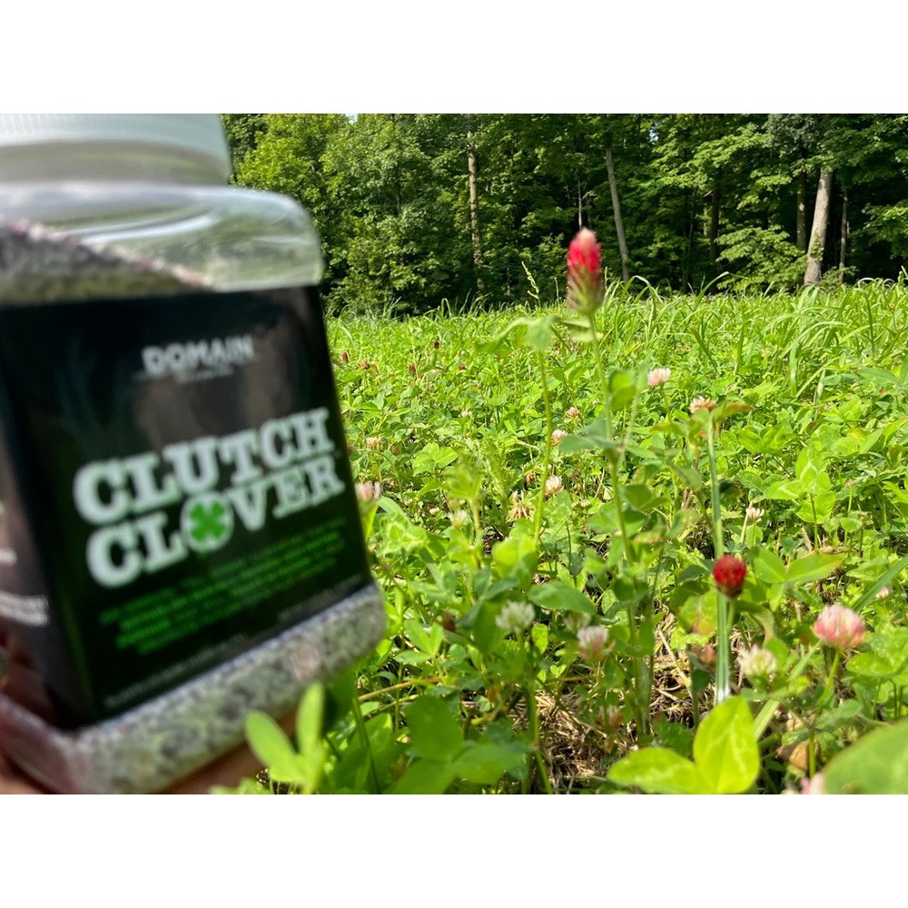Domain Clutch Clover Seed 1/4 Acre