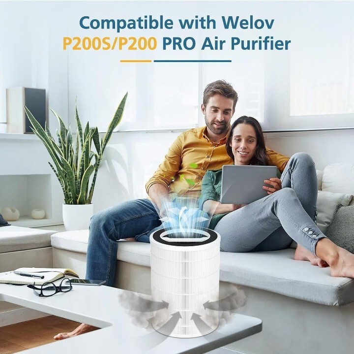 2 pack P2005/P200 Pro replacement air filters