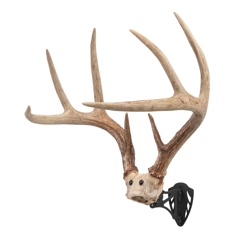Allen Company EZ Mount Horn Bracket, Brown