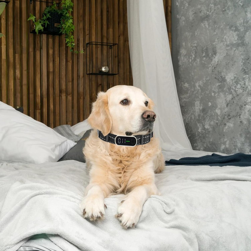 Reflective Collar Replacement Strap, Dog GPS Training Bark Receiver Collars, Hea