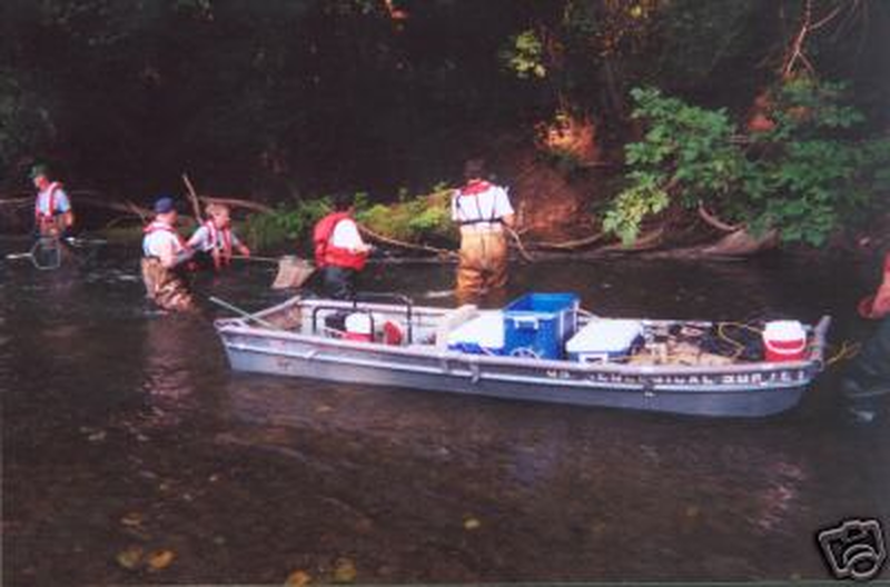 Higher Powered Fish Stunner PLAN Paper Plans 24 Pages