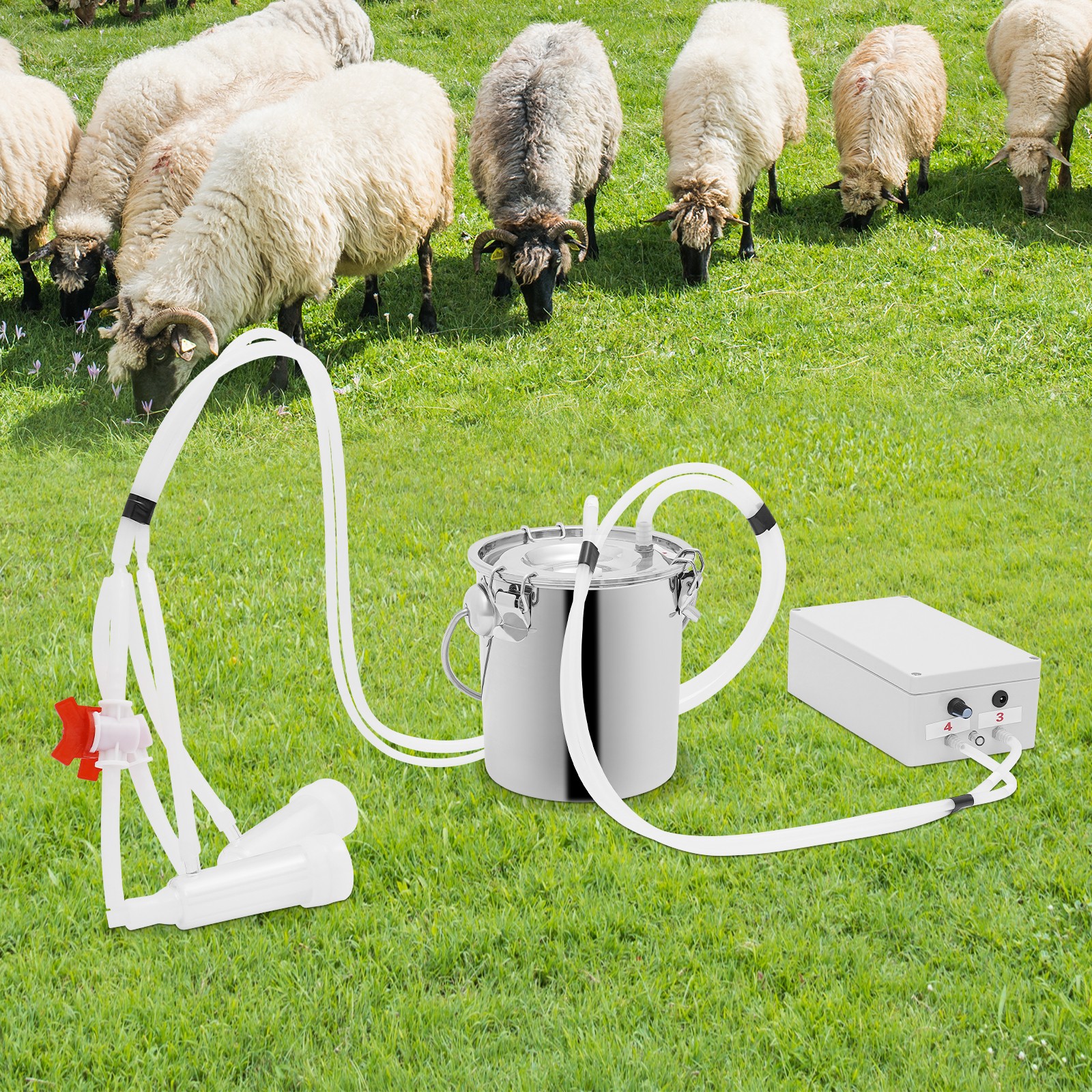 Electric Cow Milker Pulsation Cow Milking Machine with Stainless Steel Bucket