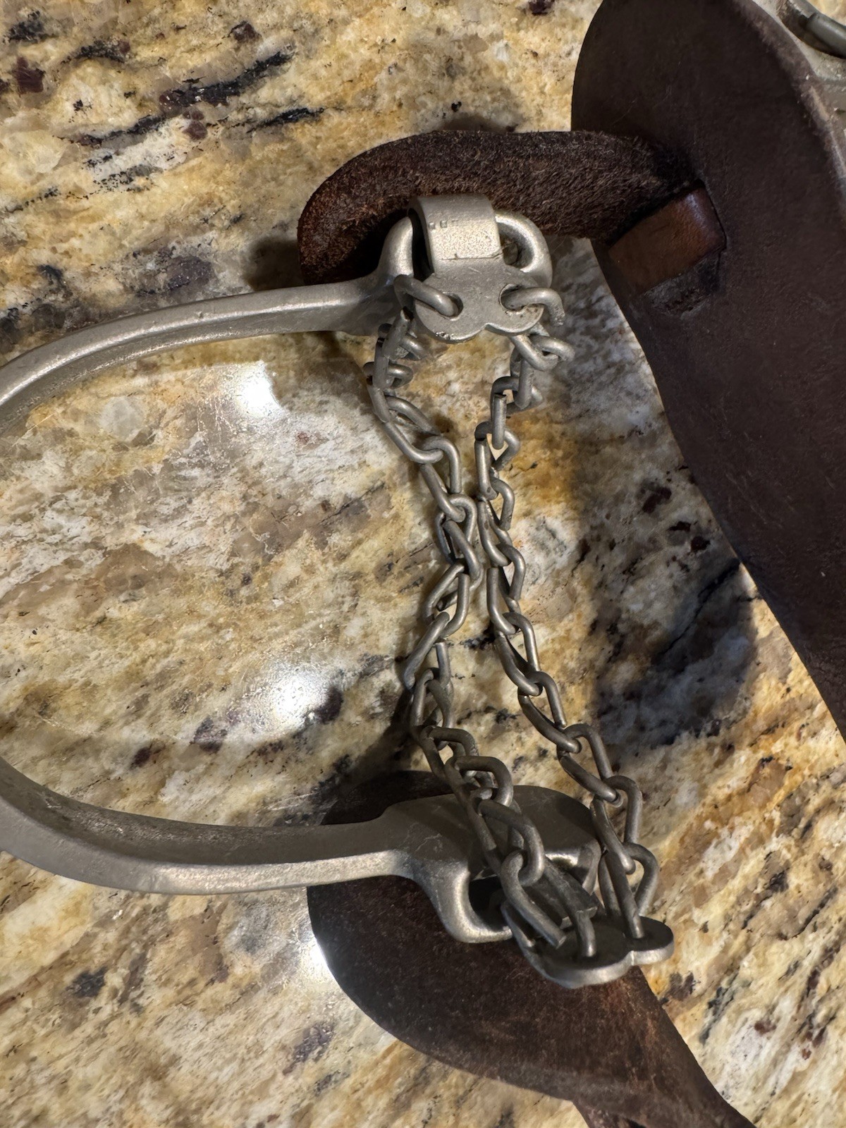 Vintage Western Cowboy Cowgirl Spurs Leather Strap As Found