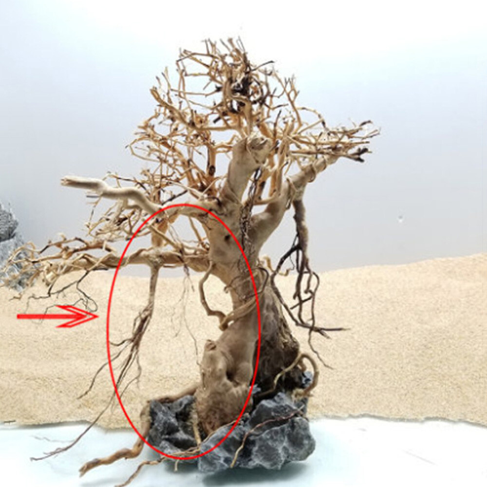 US Natural Driftwood Aquarium Root Trunk Tree Fish Tank Landscape Plant Roots