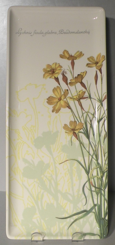 NEW Oblong Serving Tray Herbier du Roy Pattern Gien