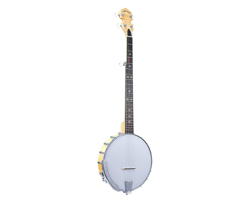 Gold Tone CC-100 Intermediate Openback Banjo - Open Box