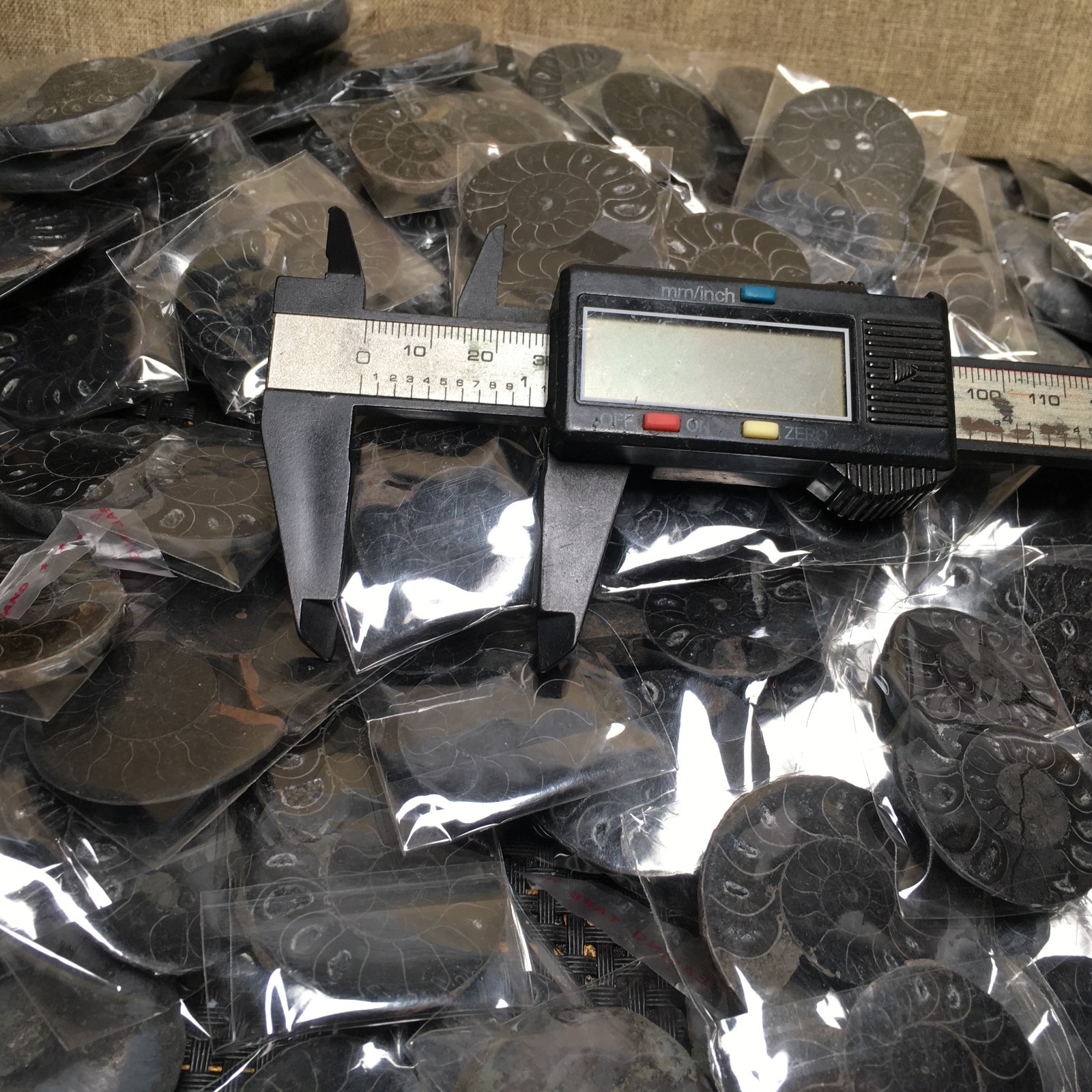 10 Pairs of Split black Ammonite Specimen Shell Healing