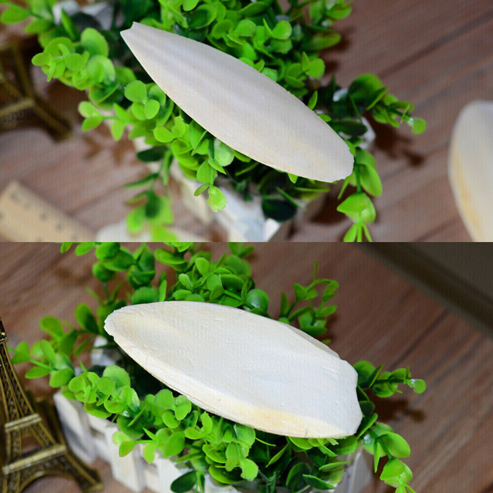20 PCS Cuttlebone for Birds Parrot Chewing Cuttle Bone for Sharp Beaks USAA+