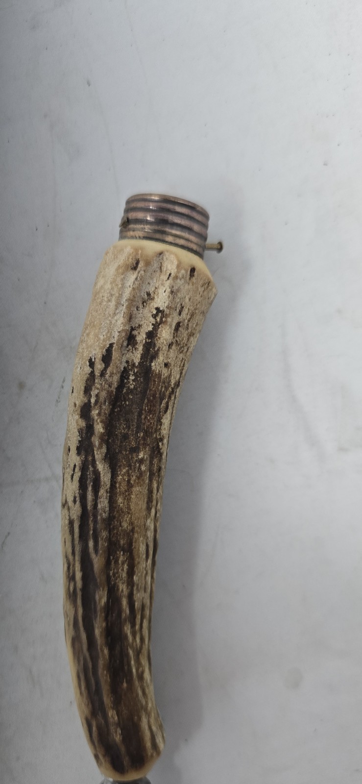 VTG Anton Wingen Jr Solingen Germany Rostfrei Wildlife Engraved 6 Pc Knife Set