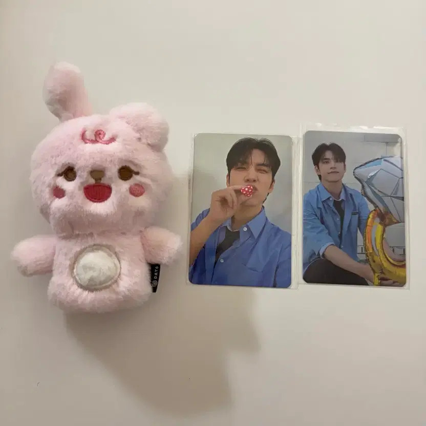 Day6 Finger Puppet & Cat Con MD Photocard Set Official