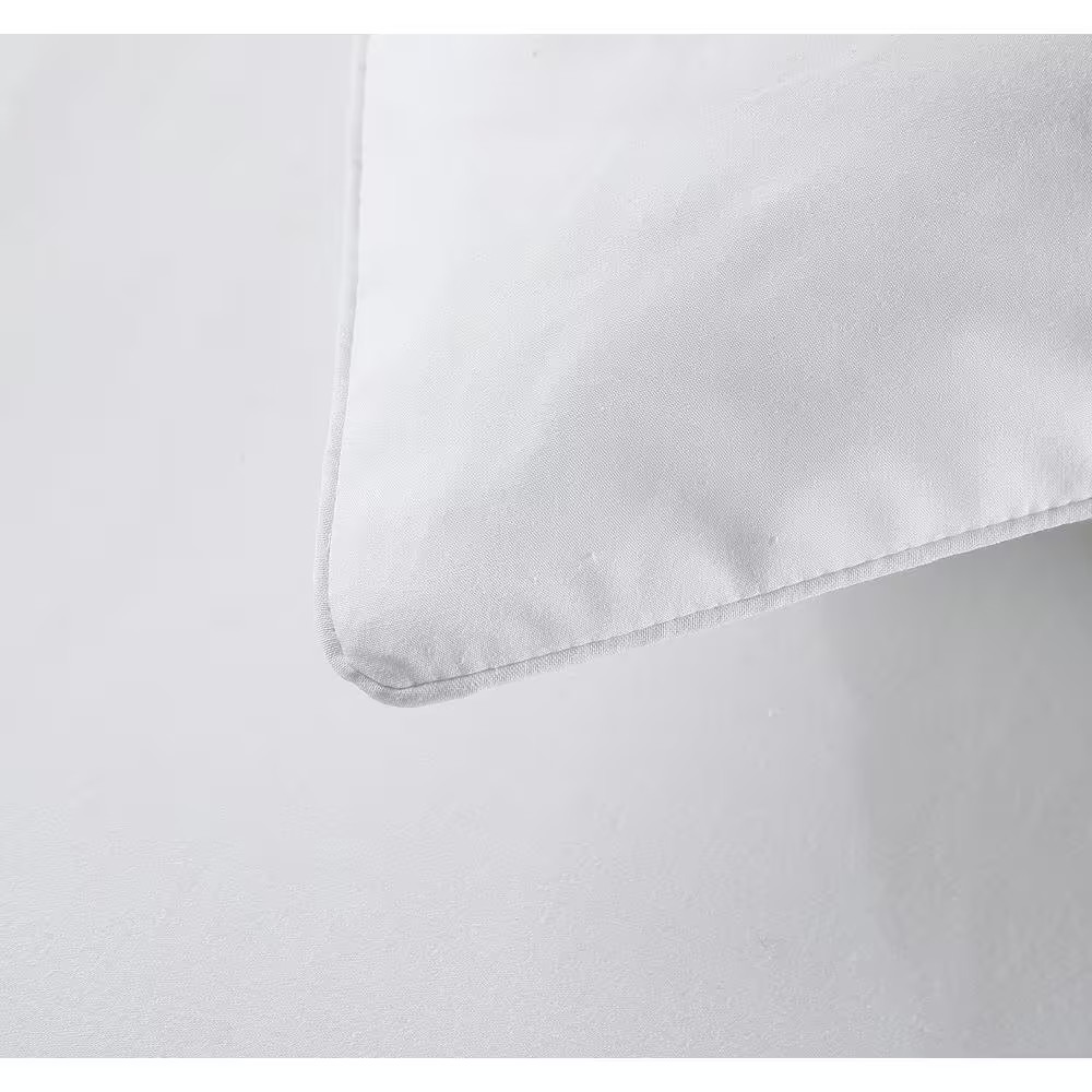 Super Soft Micro Plush King Pillows (2-Pack)