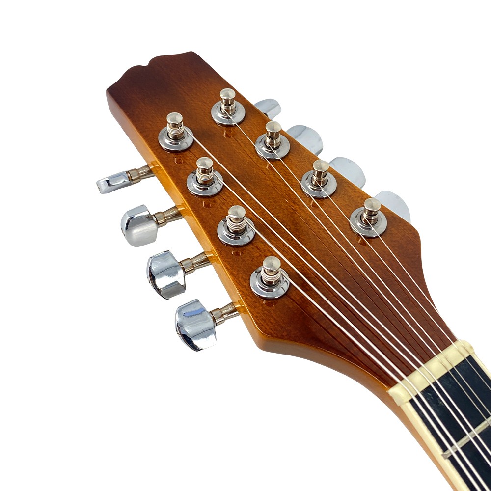 Acoustic Electric Mandolin Kit, A-Style 8String Mahogany Mandolin,Starter Bundle