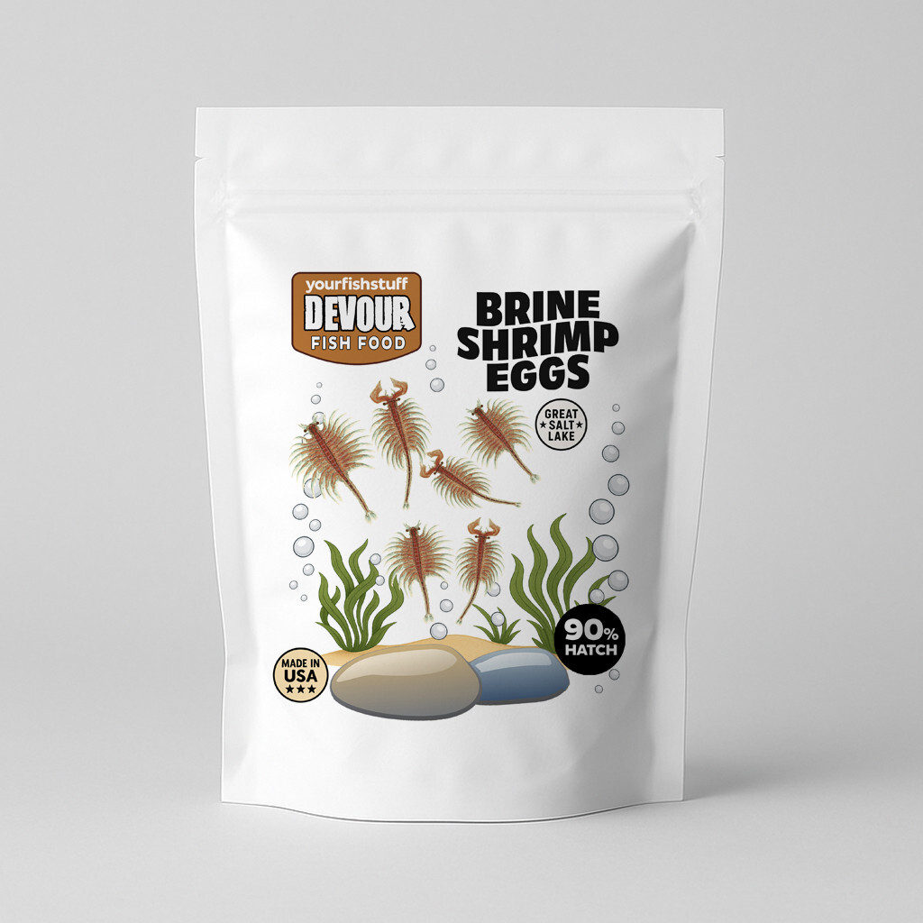 Brine Shrimp Eggs (Artemia Cysts) 50grams of 90% Hatch