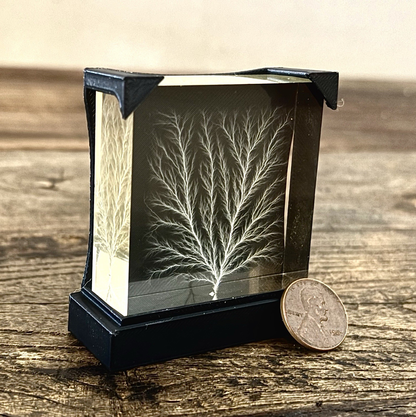 Frozen Lightning / Lichtenberg Figure 2" x 2” x 0.75" Physics Sculpture