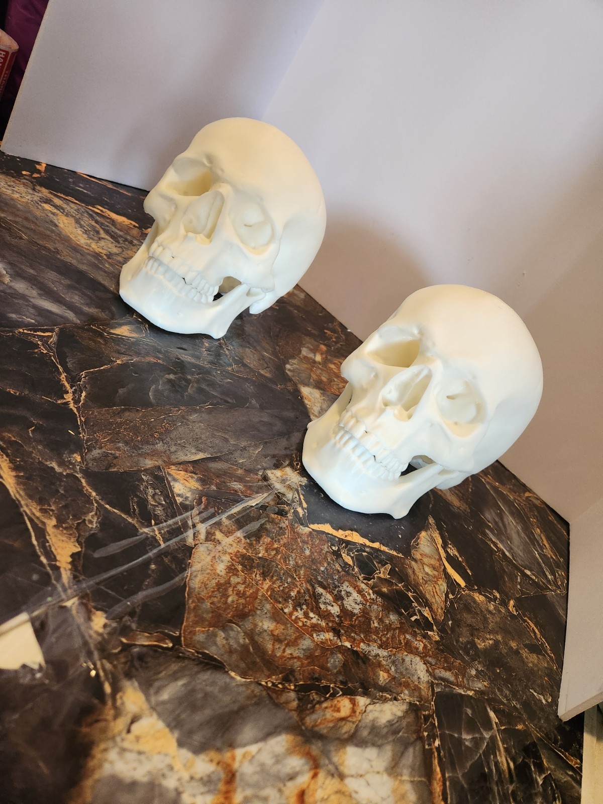 Human Skull Replica - 1:1 Medical Scan Anatomical-Study Gem