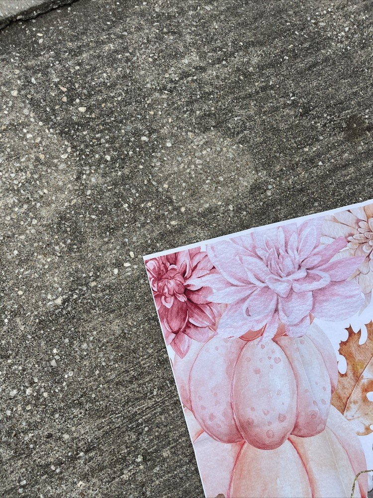 A little pumpkin is on the way backdrop 5x7