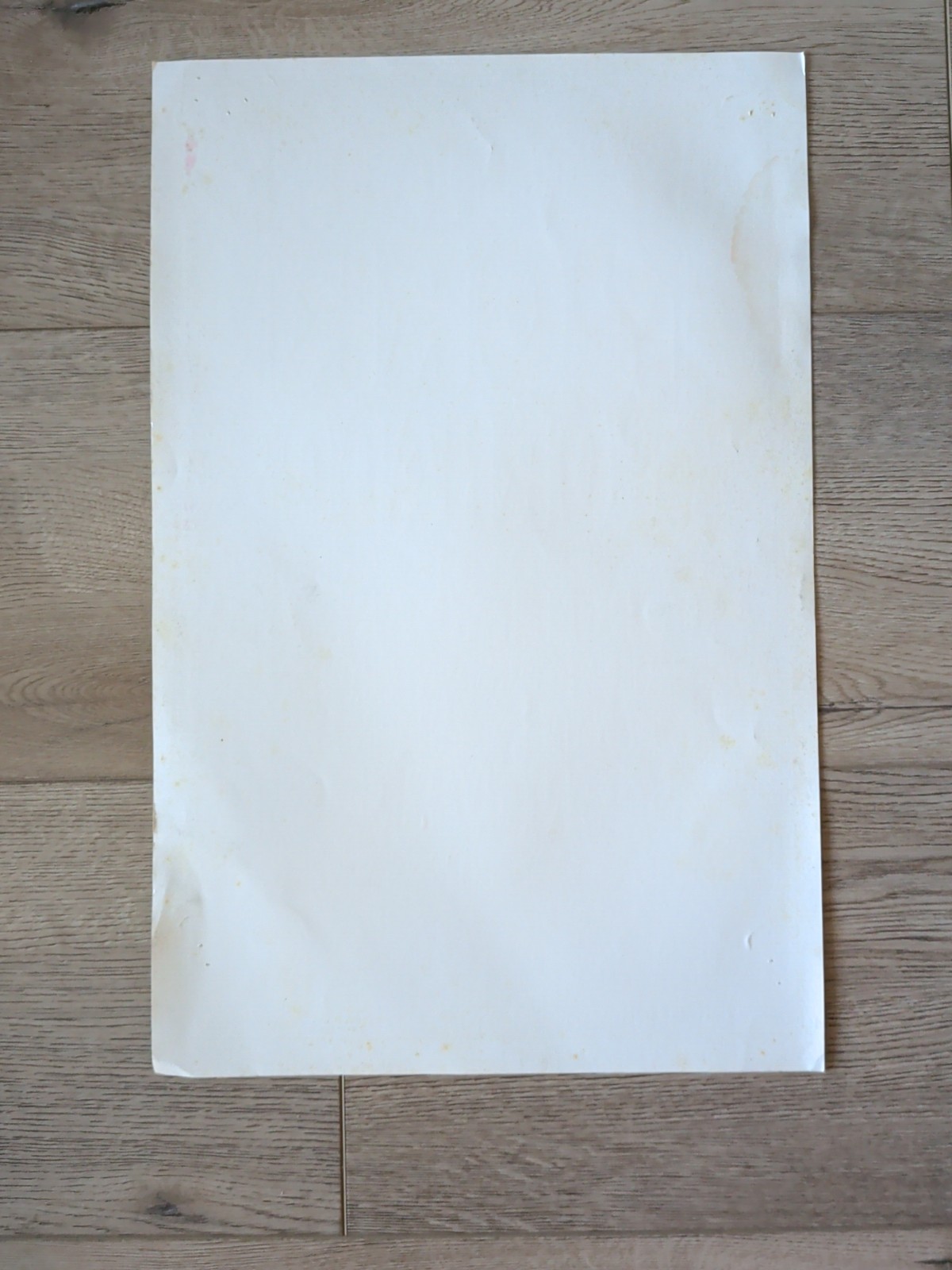 Pork Tornado Poster Tipitinas New Orleans Jon Fishman