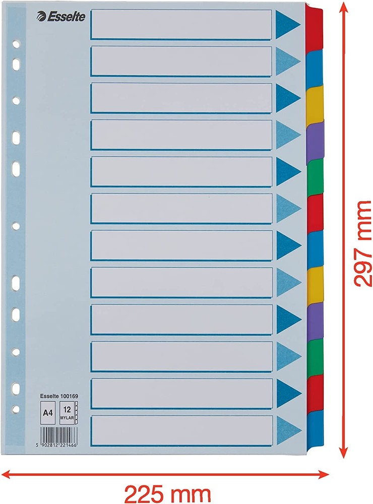 Esselte 100169 Tab A4 12 nails