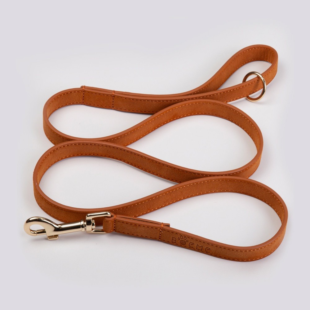 Harness Walking Set - Flâneur Collection - Boème