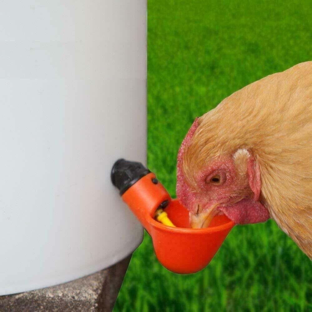 50 Poultry Water Drinking Cups Chicken Hen Plastic Automatic Drinker Feeder