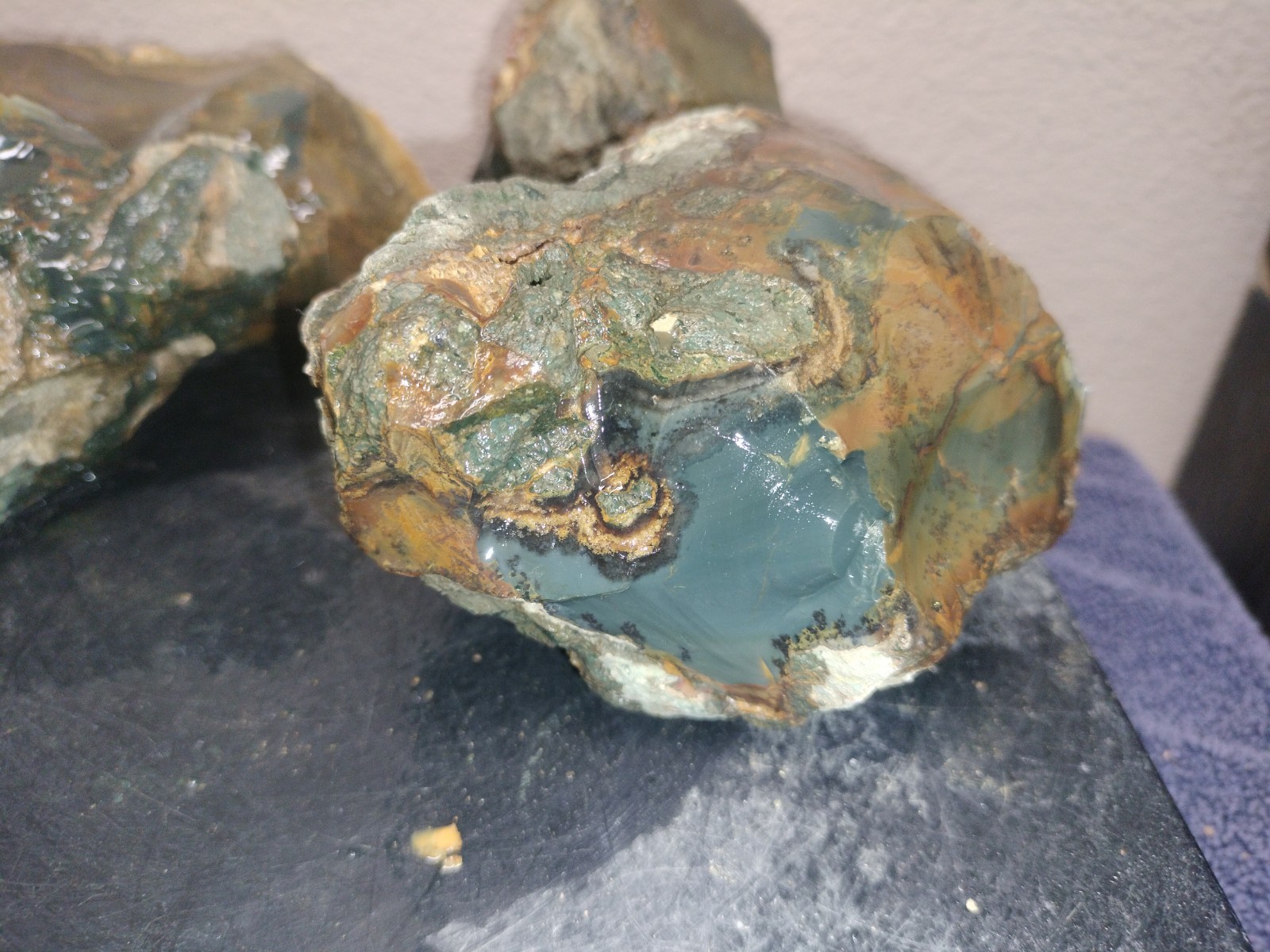 7.3LB ORBS Blue Mountain Picture Jasper Rough 6pc Lot #26