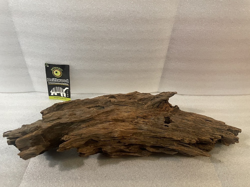 Galapagos Driftwood