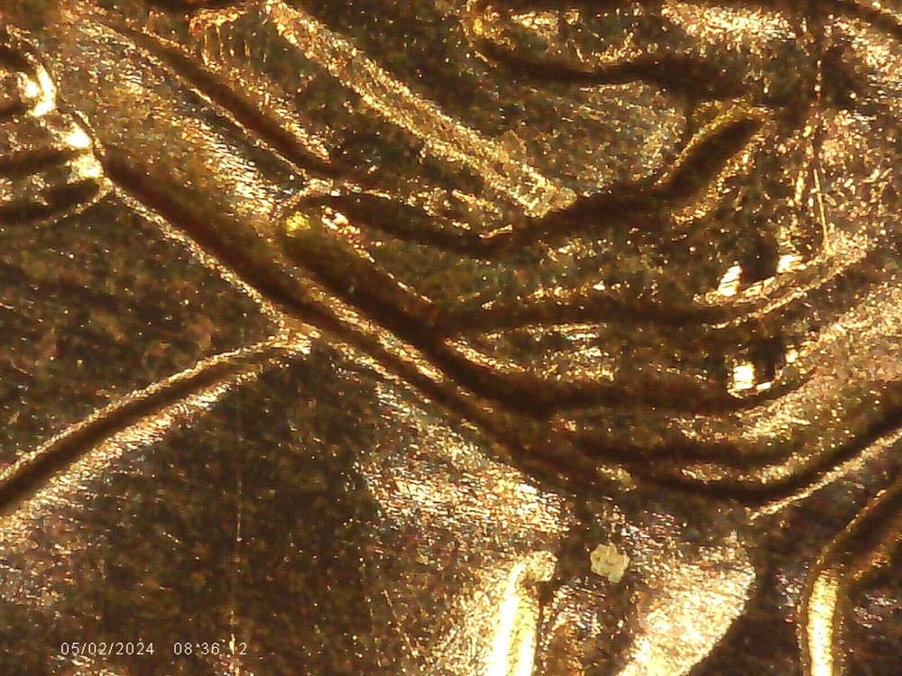 2009 P BU FY DOUBLED DIE REVERSE ERROR WDDR-010
