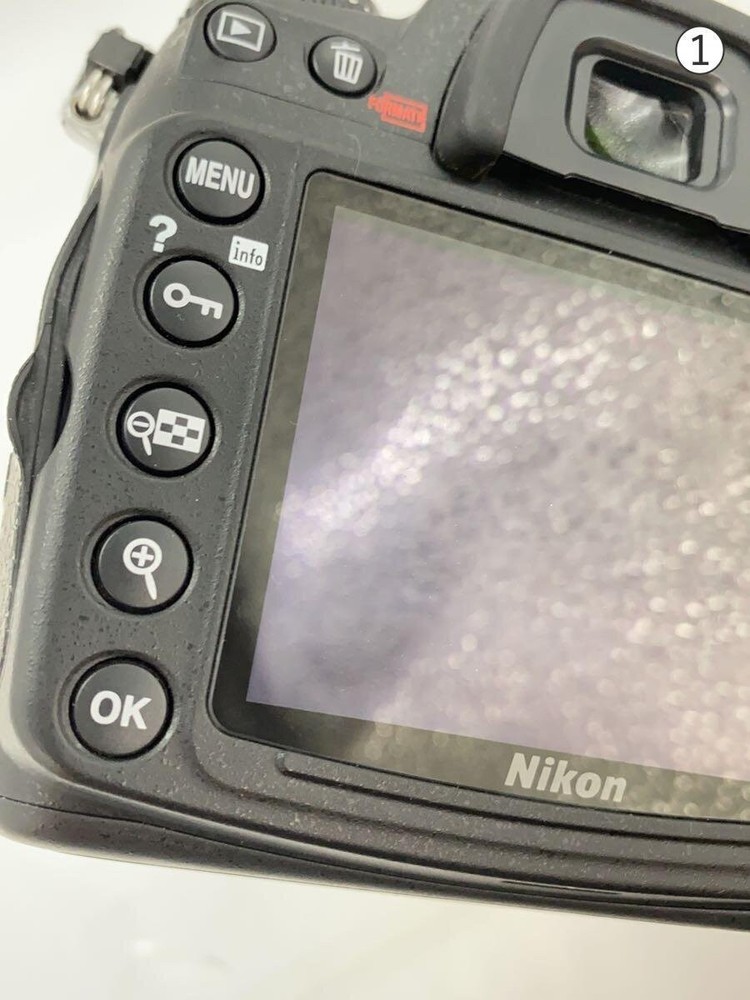 Nikon Digital Single Lens Reflex Camera