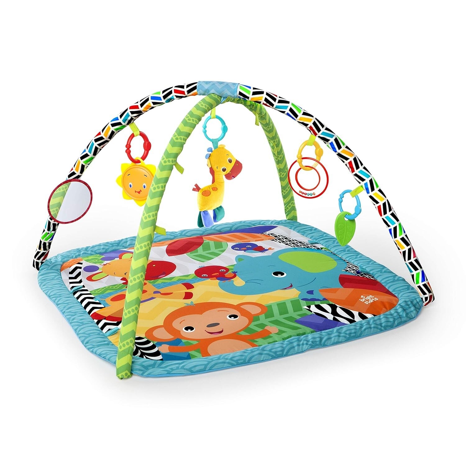 Zippy Zoo Activity Gym